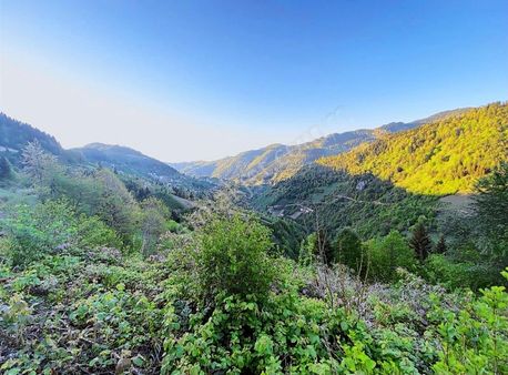 Trabzon Şalpazarında Satılık Fırsat Arazi 7.200 M2