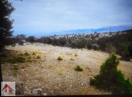 Güzelpınarda İki Adet Yan Yana +%30 İmarlı Önü Açık Arsa