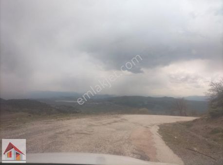 Boyun Kaya Köyü Alıç Yaylasında Her İşe Uygun 4.500 M2 Arazi..