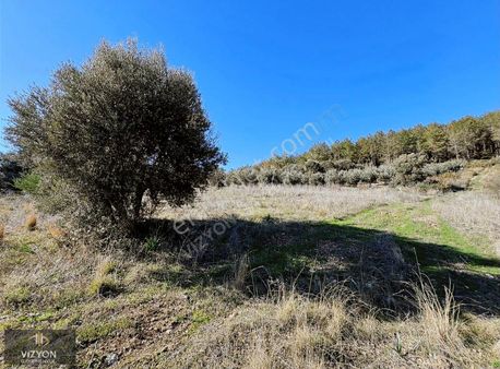 Gündoğdu'da Satılık 1780 Metrekare Tarla