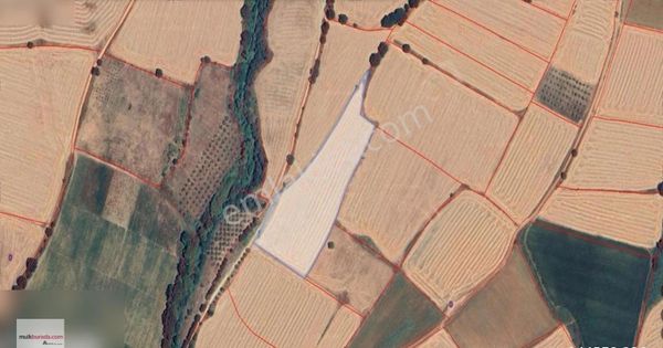 Arte'den Bandırma Çakıl'da Yola Sıfır 12.650 M2 Satılık Tarla