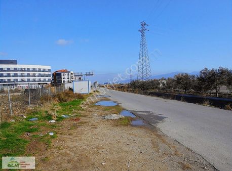 Seyrek'te Ana Yol Üzeri Kiralık Tarla 165.000 Tl