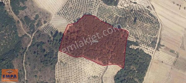 Empa Gayrimenkul'den Özel Tarla!