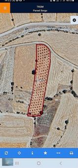 Antalya Korkuteli Yelten Köyünde 5000m2 Müstakil Ceviz Bahçesi