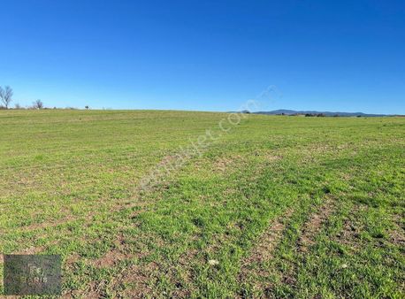 Çanakkale Ayvacık Misvak Köyünde Satılık Tarla