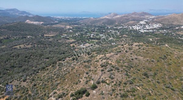 Bodrum Dereköyde Deniz Manzaralı Satılık 23 Dönüm Tarla