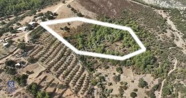 Milas Alaçam'da Lansman Fiyatıyla Yaşam Bahçeleri