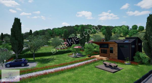 Ormanın Sınırında Kelepir Fiyata Arsa