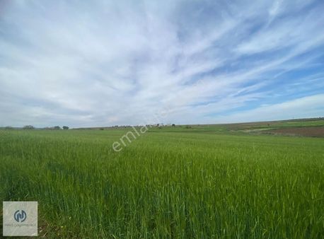 **nova** Fuatmorel'de 2 Kata İmarlı 175 Metrekare Arsa