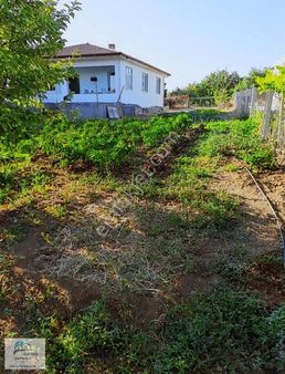 Keban Yola Çok Yakın Pelte Köyünde Satlık 5250 M2 Bahçeli Ev