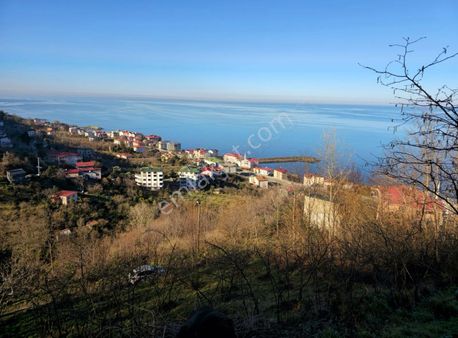 Trabzon Mersin'de Denize Hakim Manzaralı Arsa