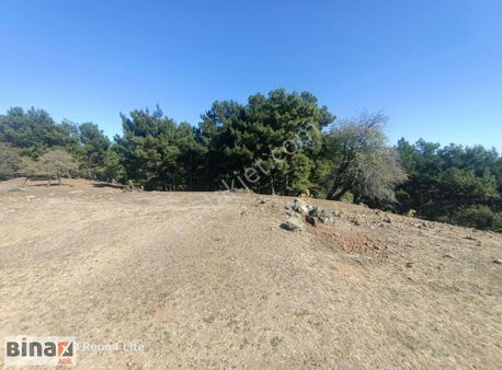 Acil Satılık Çanakkale Ayvacık Adatepe Satılık Tarla