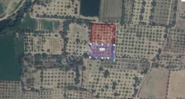 Aydın/nazilli Beyerli'de Satılık 1256m² İncirlik