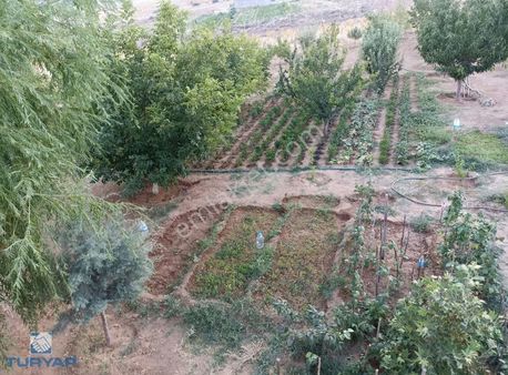 Binevler Turyapdan Ekinözünde 9.5 Dönüm Satılık Bağ
