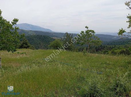 Binevler Turyaptan Merkeze 20km Satılık Bağ