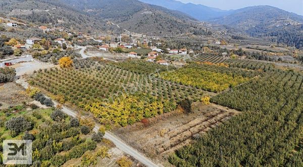 Geyve Burhaniye 2065 M2 %40 İmarlı,parsellenebilir