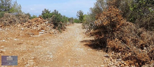 Antalya Aksu Topallı İmarlı Parseller