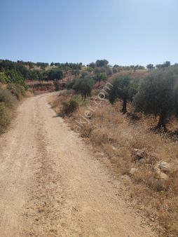 Karakurt Gayrimenkul ‘den Aşağı Arıl Da Kadostro Yoluna Sıfır