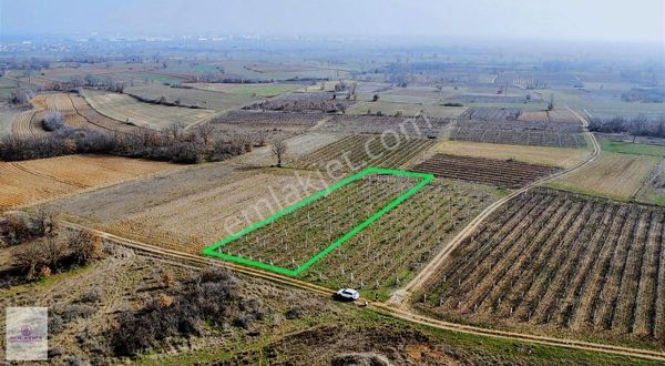 Real Estate Çatalca'dan Satılık Kupon Bağlık Kızılcıkdere