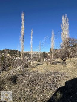 Sertavulda Yatırımlık Kupon Arsa