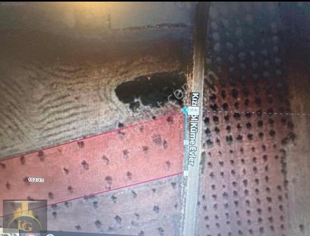 Uyaran 79 Gayrimenkul Den Fırsat Zeytinlik