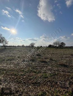 Ezine Uluköy De Sahile 1km Termal Turizme Uygun Arazi