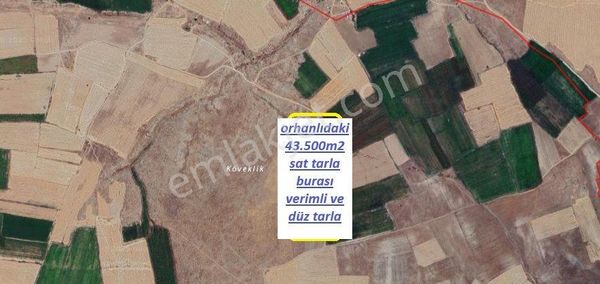 Niğde Orhanlıda 3 Adet Verimli Düz Satılık Tarlalar