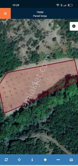 Tekirdağ Şarköy Gaziköy De Tek Tapu 2.5 Dönüm Takaslı