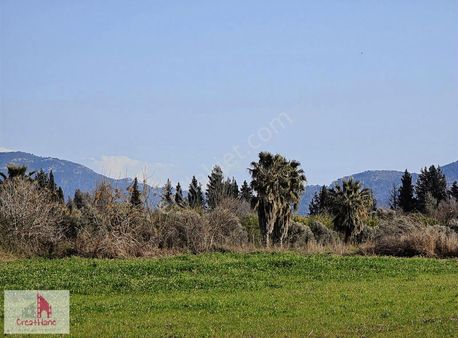 Yetkili Ofis - Fevzıye'de Yola Cephe 8 Dönüm Tarla.