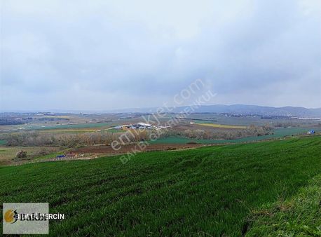 Çatalca Ovayenice Satılık Tarla