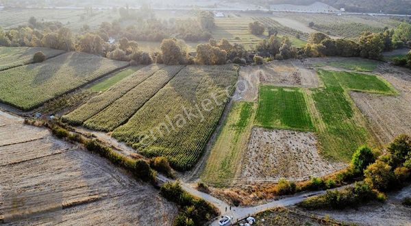 Çanakkale-biga-bakacak Çiftliği Köyün'de Satılık Tarla