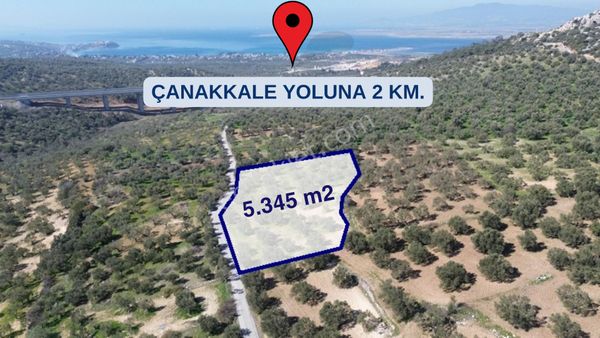Aliağa Aşağışakran'da Yola Cephe 5345 M2 Tek Tapu Zeytinlik