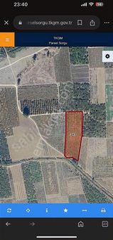 Sng Gayrimenkul Den Pamukova Hayrettin Fırsat Ayva Bahçesi