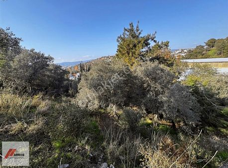 Milas Güllük Mah. Satılık Arsa