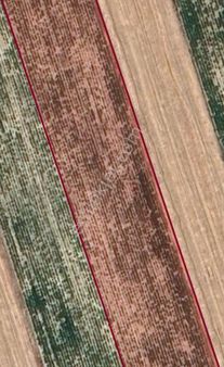 Sezenler Emlaktan Çumra Alibeyhüğünde Satılık Tarla