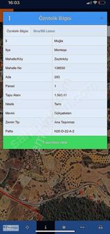 Zeytinköy'ün En Güzel Yerinde Satılık Tarla (asfalta Sıfır)