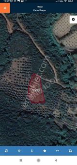 Frang Group'tan - Sahil Yenicede Tarla