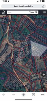 Frang Group'tan - Bandırma Sahilyenice 2.545m2 Zeytinlik