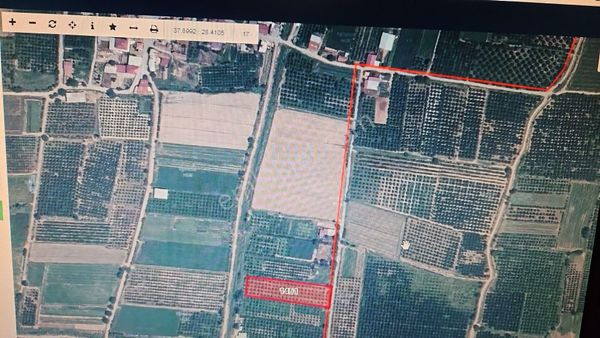 Bereketli Merkezde Portakal Bahçesi