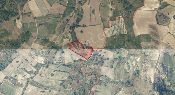 Muratbey'de 14.347m2 Yatırımlık Tarla Resmi Yola Cepheli