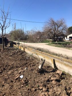 İslamdaray Mah Zeytinlik