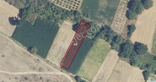 Çelik'ten Mustafakemalpaşa Behram Da 1113 M2 Tek Tapu