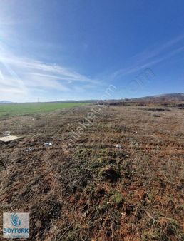 Soytürk'den Çal Akkent Akçaalan Mevkii Yola Sıfır 2140 M2