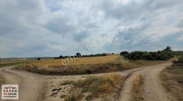 Çanakkale Gökçalı - Çıplak Köyü Mevkii Satılık Arazi