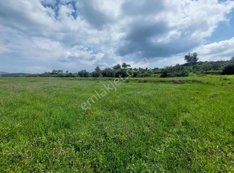 Beyciler Kısırlar Arası 4 Dönüm Tarla