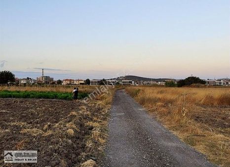 Çeşme Alaçatı Ilıca'da Sheraton Hotele Yakın 11 Ðönüm Tarla
