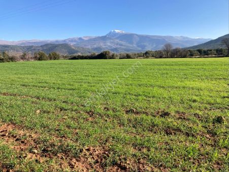 Düz Ovada Verimli Sulu Tarla 20.642 M2