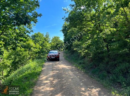 Bayındır Köyünde Organik Tarıma Uygun 10250 M Yol Cepheli Arazi