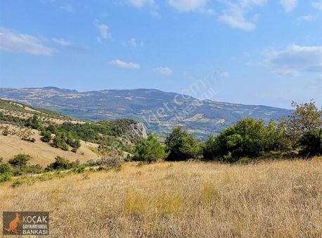 Kaynarca Alakayada 6000 M2 Meyveciliğe Uygun Satılık Arazi