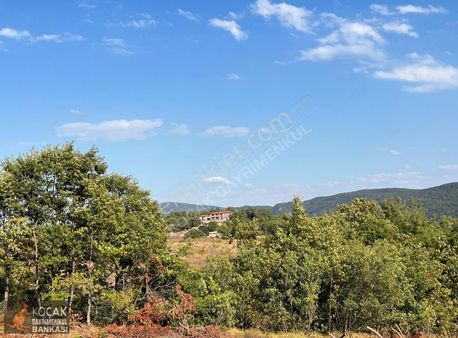 Çamoluk Mahallesinde Göl Gören Köy Yakını 6496m2 Satılık Arazi